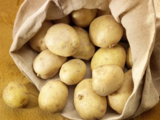 Previziuni alarmiste: Creştere majoră a preţului cartofilor
